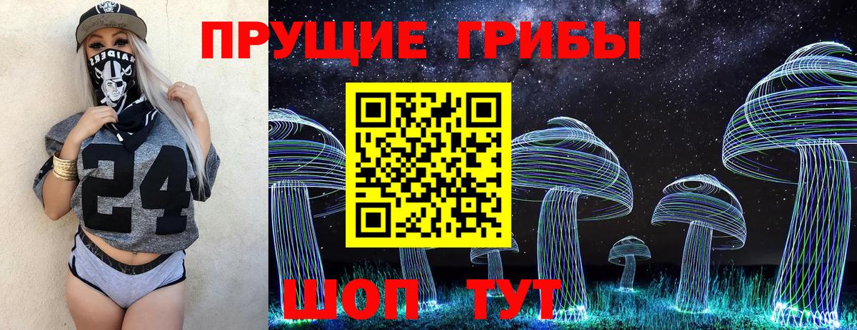 Галлюциногенные грибы прущие грибы Куйбышев